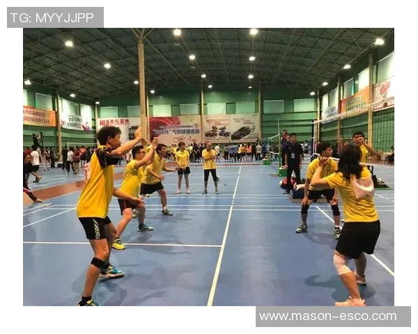 广州排球队在杯赛中的状态分析与表现评估